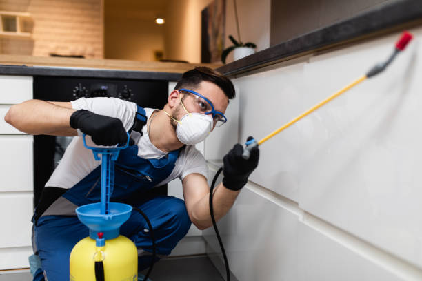 Reliable Kenneth City, FL Pest Control Solutions
