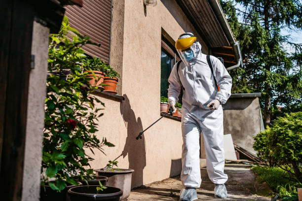 Best Pest Removal Services  in Kenneth City, FL