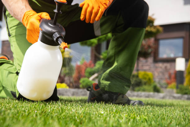Best Best Pest Control Companies  in Kenneth City, FL