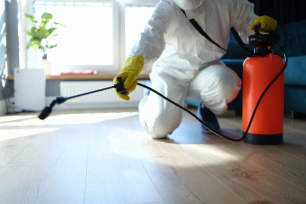 Flea Control Services in Kenneth City, FL