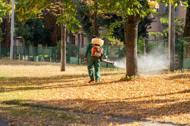 Best Flea Control Services  in Kenneth City, FL