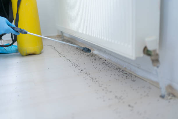 Best Commercial Pest Control Services  in Kenneth City, FL