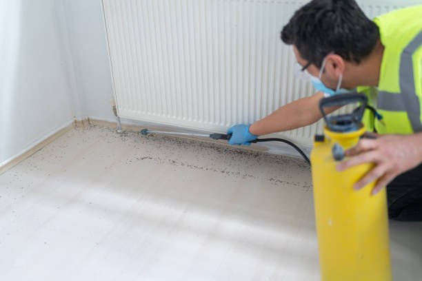 Best Exterminator Services  in Kenneth City, FL